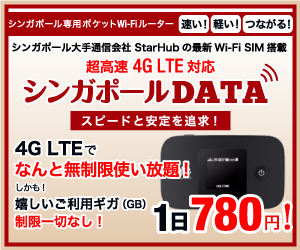 シンガポールデータ